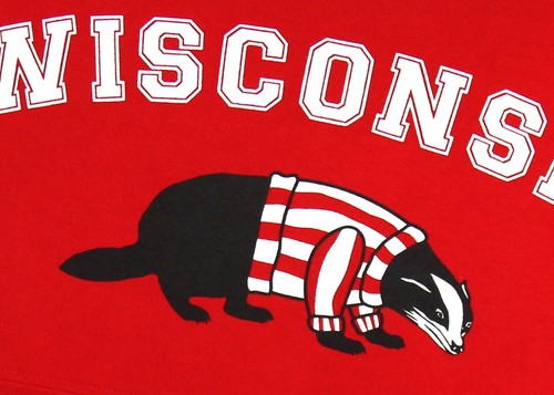 University of Wisconsin Badgers Decorative Pillow - Picture 2 of 5