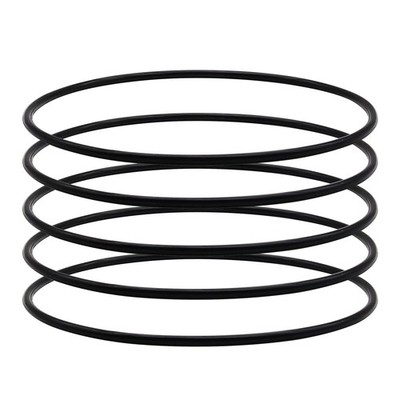 151122 O-Ring (5 Pack) for Big Blue Water Filter Housings