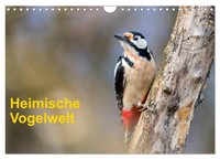 Heimische Vogelwelt (Wandkalender 2026 Din A4 Quer), Calvendo Monatskalender