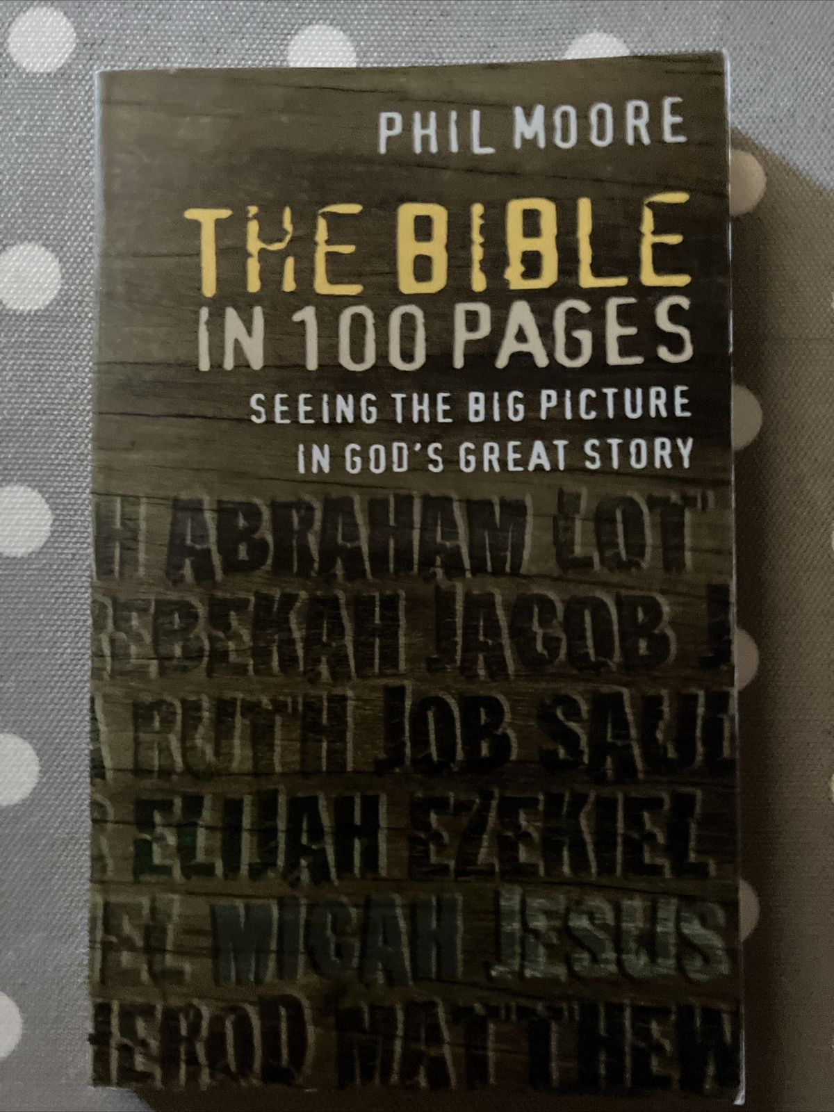 The Bible in 100 Pages: Seeing the big picture in God's great story by Phil...