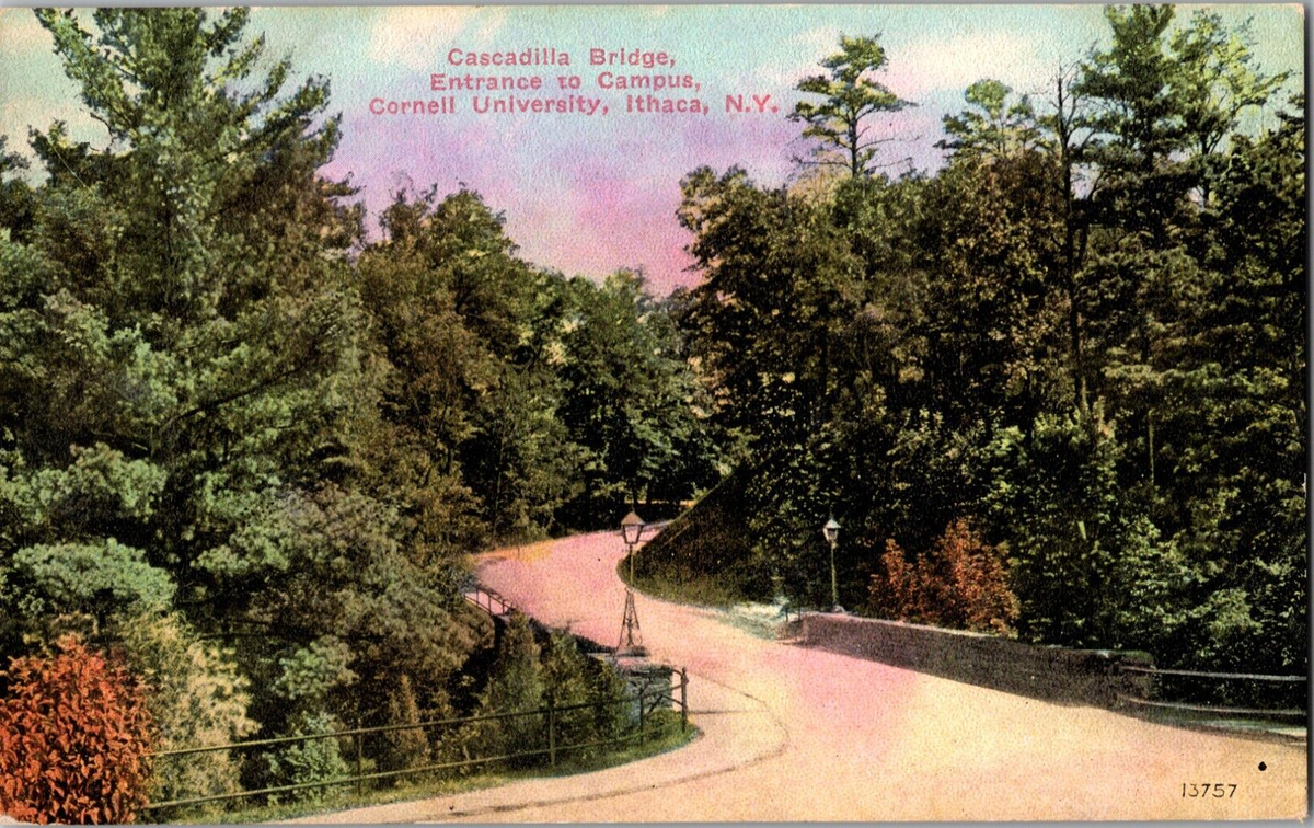 Carte Postale Ithaca Falls Cornell University NY – USA – Timbrée