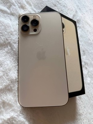 Apple iPhone 13 Pro Max 256 GB   sehr guter Zustand