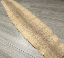 Tan Genuine Karung Elephant trunk Snake Hide Taxidermy leather Skin Rattle 516