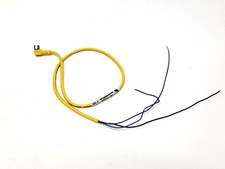 Turck U2506-29 Actuator and Sensor Cordset PKG 3M-6 3-Pin F Connector to Cut-end