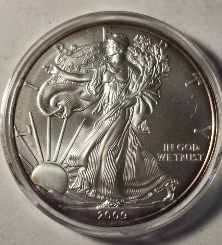 2009 Silver Eagle $1 Dollar 1oz Uncirculated .999 -In Capsule.