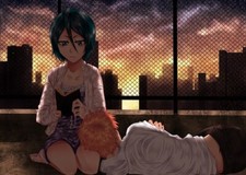 Anime ichiruki kuchiki rukia kurosaki ichigo fence Stitched Gaming Mat Desk