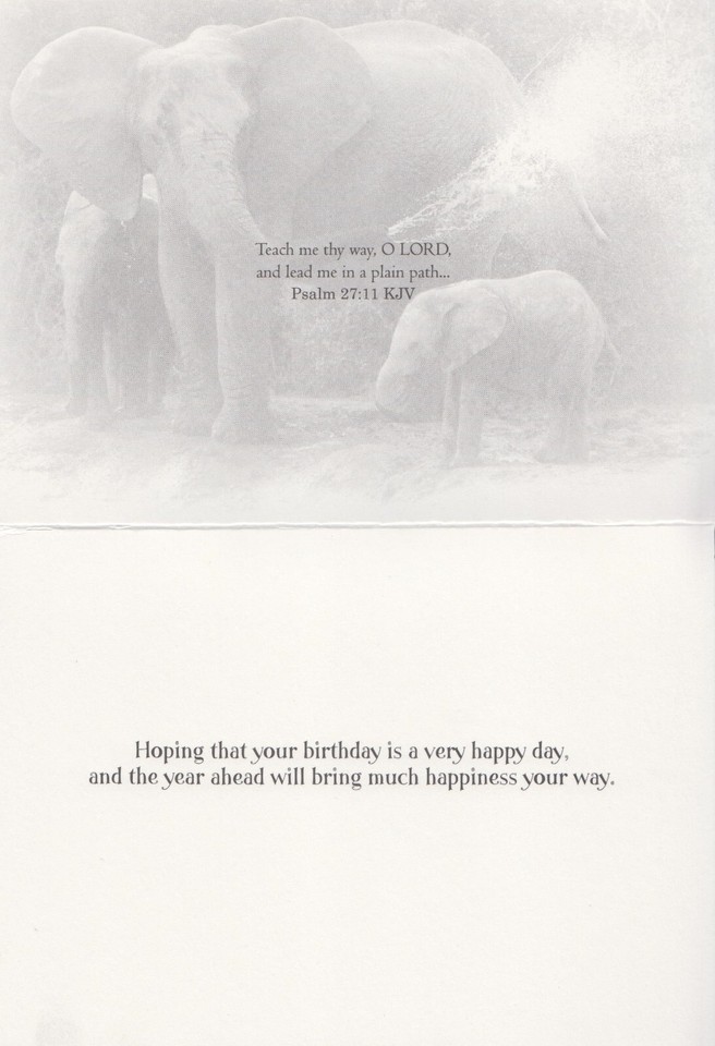 Birthday Christian Greeting Card Safari Friends Giraffe Psalm 374 KJV