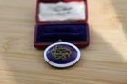 Antique WW1 Scarce Yugoslav/Serbian Colours Enamel Army Officers’ Badge