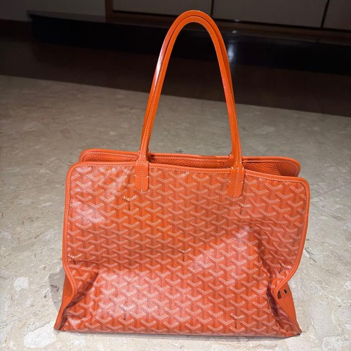 Goyard Ardie PM Bag Orange Used