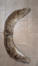 Vintage 1950s Gray Brown Real Fur Collar 26x4