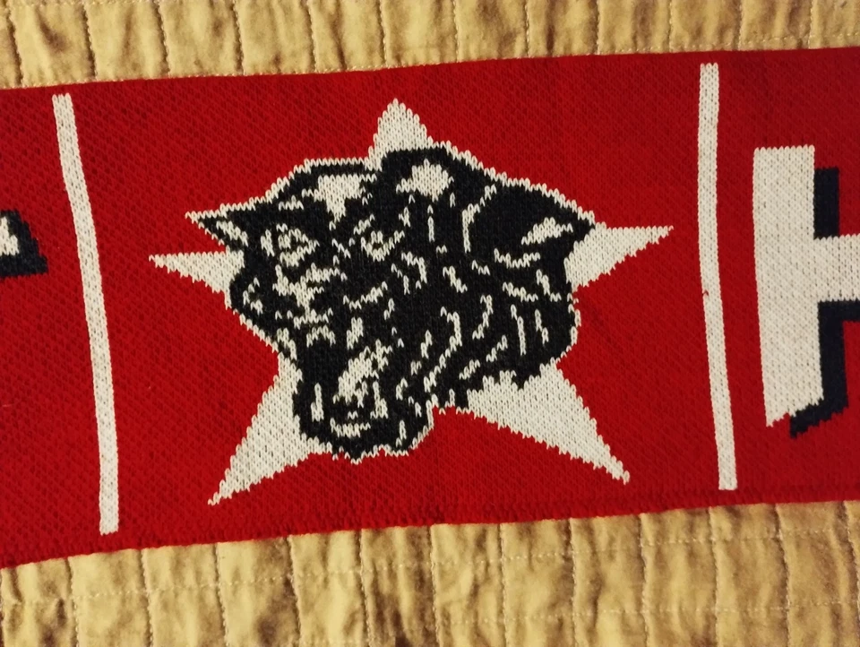 Sciarpa Ultras Anni 90 Panthers Perugia 84 (1993-94) - Immagine 4 di 4