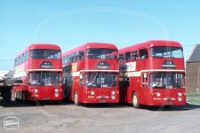 Bus Photo - Western Scottish SMT JAG516F JAG515F JAG514F Fleetline 3 shot!