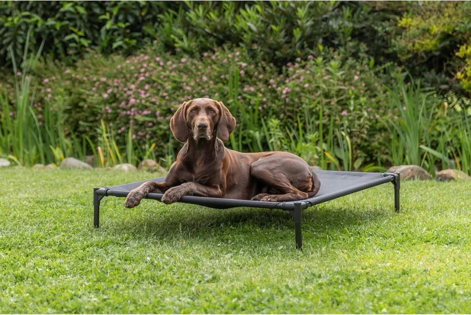 2-In-1 Dog House and Bed - Elevated Indoor/Outdoor Tent with Removable Cover - W - Image 3 of 4