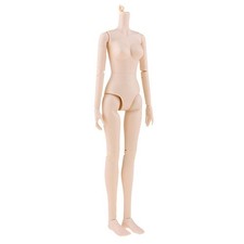 16 Joints 1/4 BJD Dolls Normal Skin   Nude Body Girl Model without Head