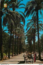 Postcard - Spain - Espana - Andalucia - Malaga - Parque - Paseo de Palmer