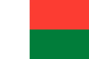Madagascar Flag Self Adhesive Vinyl Sticker