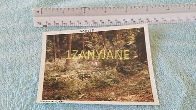 #ad AC0278 Allis Chalmers Photograph MEDIA ARCHIVE USING GARDEN TRACTOR TO CLEAR $9.01