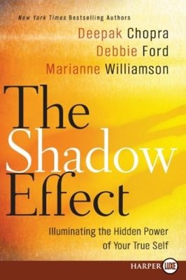 The Shadow Effect : Illuminating the Hidden Power of Your True Se