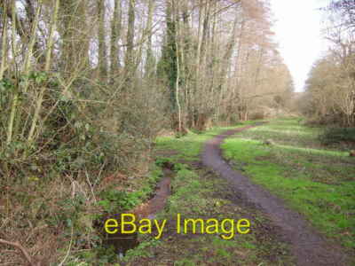 Foto 6x4 Royal Oak Valley Bach und Fußweg Cricket Hill The Royal Oak c2008