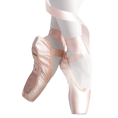 pointe ballet shoes ebay
