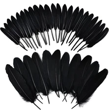 iHUFeather 270pcs Black Goose Feathers for Crafts 2 Styles 4-7 inch 