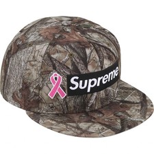 Supreme Breast Cancer Awareness Box Logo New Era TrueTimber HTC Fall Camo