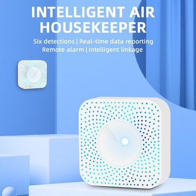 Smart Environment Tester f??r Tuya mit Temperatur- und Luftfeuchtigkeitsfunktion