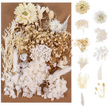 Real Natural Dried Flowers - Mixed Hydrangeas, Daisies, White Decorative for DIY