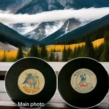 1976-77 BIRMINGHAM BULLS WHA VINTAGE   GAME PUCK VICEROY MFG MADE IN CANADA SLUG