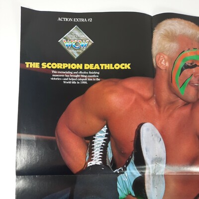 ⚪︎希少WCW WWE スティングポスター WCW Sting wrestling magazine pinup photo poster Double Sided