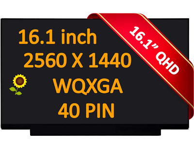 M57194-001 RAW Panel 16.1'' QHD AG Lwblult 165Hz HP Omen 16-c0095AX Laptop LCD