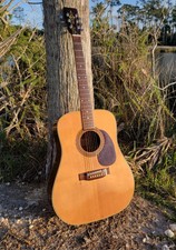 Alvarez 5023 - Vintage Guitar