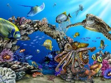 Ceramic Tile Mural Bathroom Backsplash - Octopus Garden - Sea Life Ocean Art