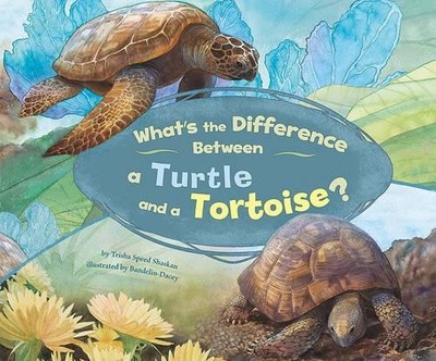 Trisha Speed Sh What's the Difference Between a  (Gebundene Ausgabe) (US IMPORT)