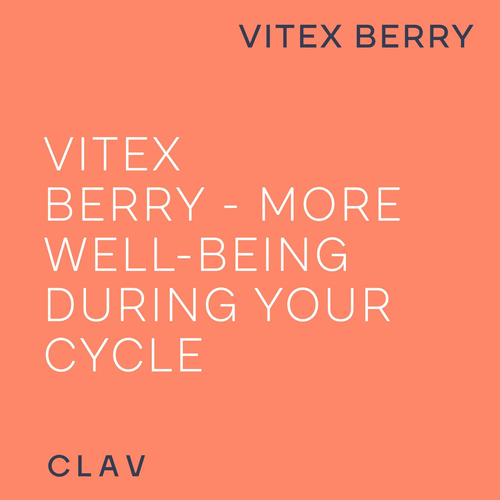 Vitex Berry Premium Chasteberry 4 to 1 Extract Vitex Agnus Castus Menopause PMS - Picture 5 of 9