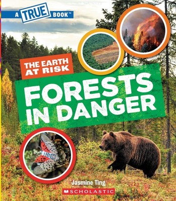 Forests in Danger (A True Book: The Earth at Risk) by Ting