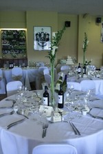 Very Tall Slim Vases Suitable For Dining  Tables/weddings Etc