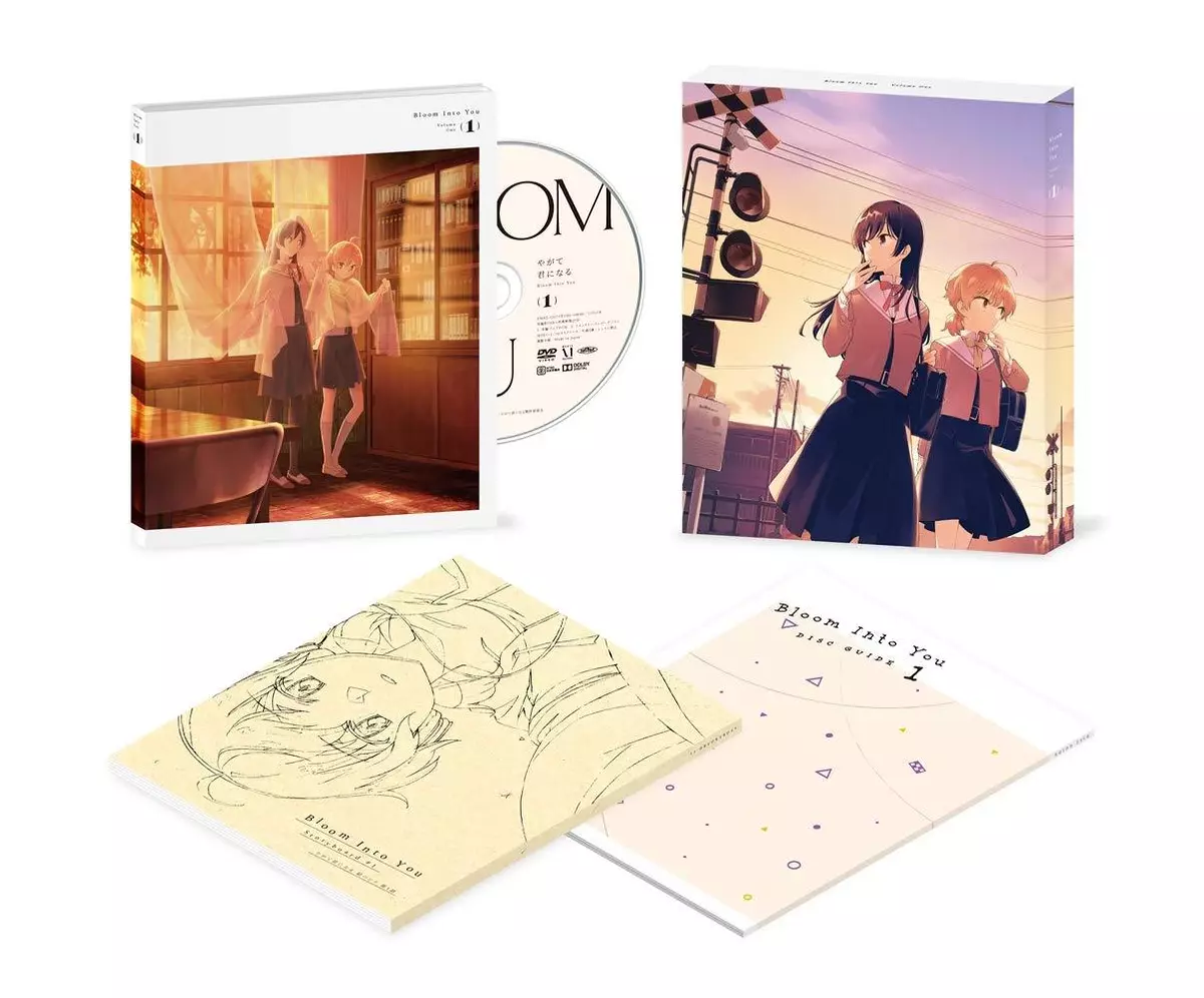 Bloom Into You Yagate Kimi ni Naru Vol.2 First Limited Edition DVD Booklet  Japan