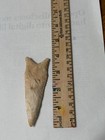 Flint Dalton  Arrowhead — photo 3