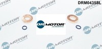 Dr.Motor Automotive DRM0435SL Dichtungssatz FüR EinspritzdüSe FüR Ford