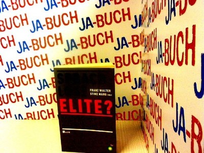 Sprachlose Elite?: Wie Unternehmer Politik und Gesellschaft sehen Marg, Stine un