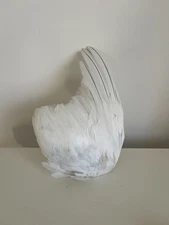 icelandic white feather bird wing taxidermy altar piece 