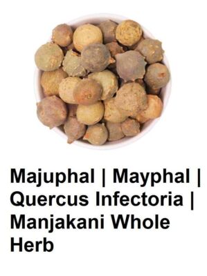 Majuphal Mayphal Quercus Infectoria Manjakani Whole 100% Pure Herbal Quality