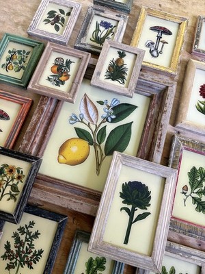 Botanische Rückglasbilder