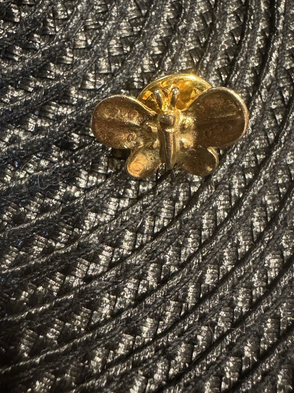 Bumble Bee Elegant Vintage Double Chain Pin With Butterfly Earrings & Pin Lot