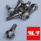 YAMAHA R6 2006-15 Titanium disc bolt set - 10 titanium bolts