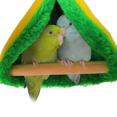 budgie bed