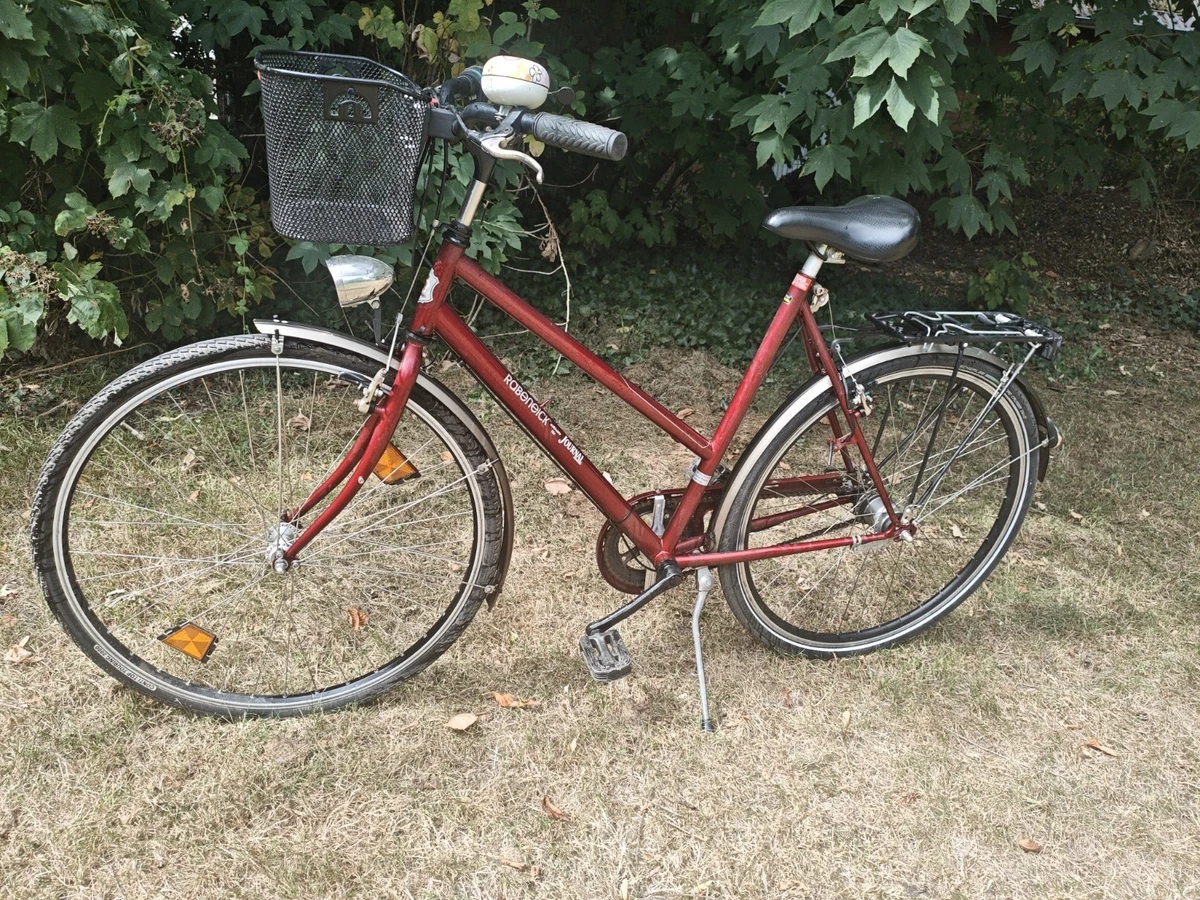 gear steroids Womens Testosterone Steroid Legalize It Landing Gear & Suspension Full Suspension Electric Mountain Bike Color:perch