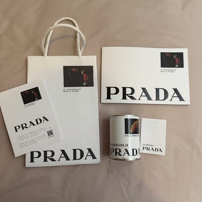 NEW Prada Marigold flowers FW Fall Winter 23 DIY planting kit decor LIMITED