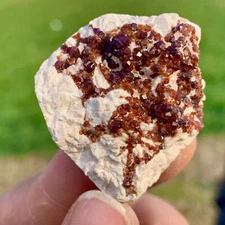 16g Natural Dark Red Garnet QuartzCrystal Rough Mineral Specimen